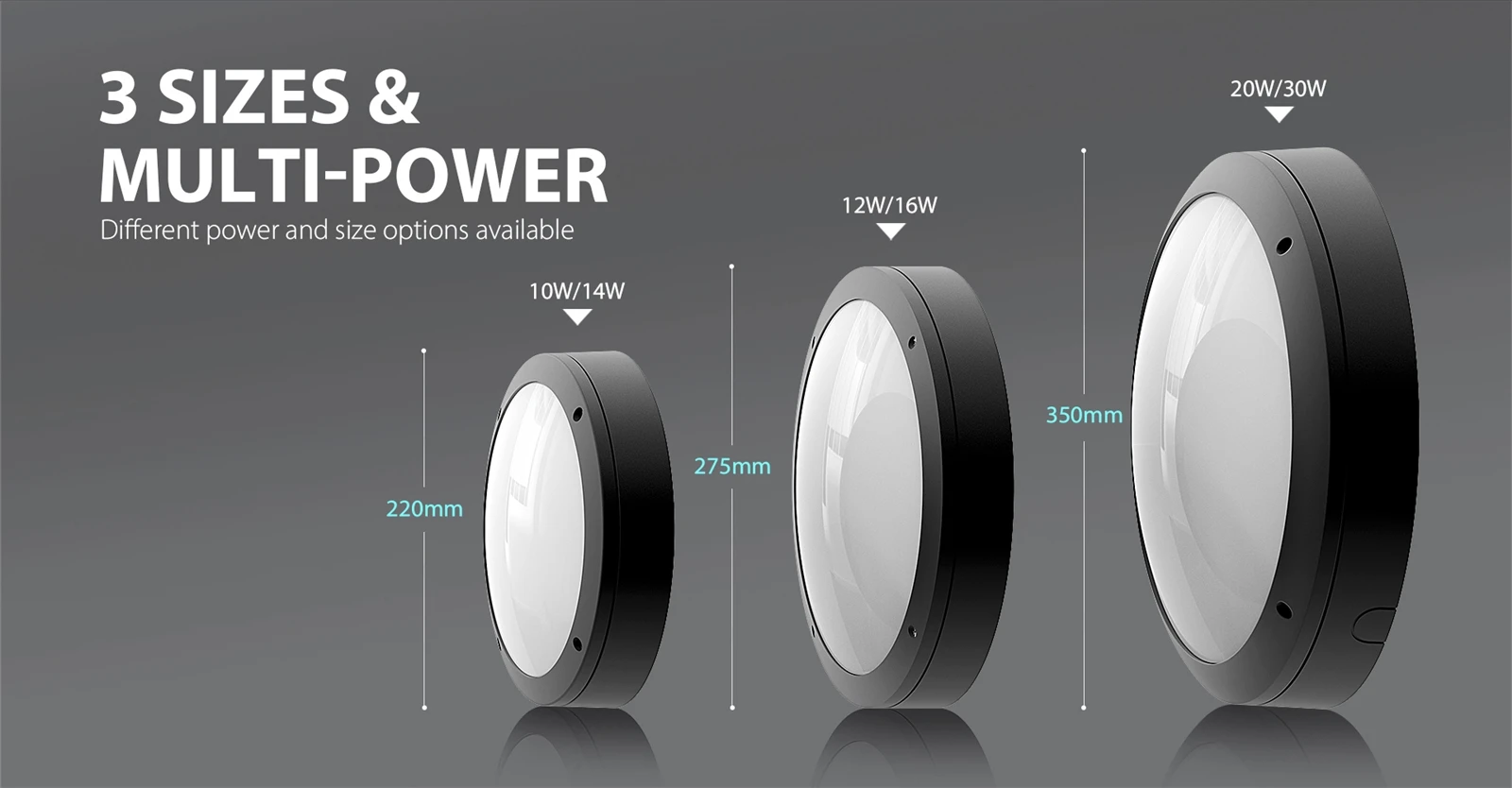 Lunar D275 -4